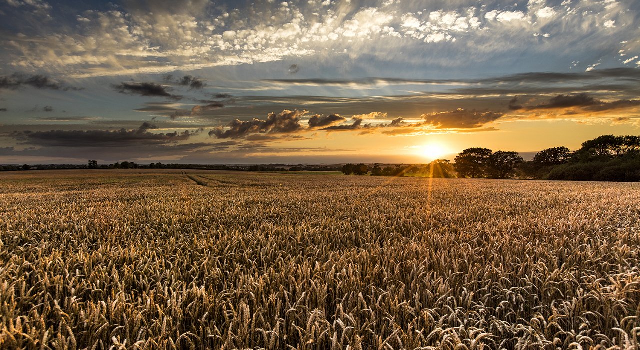 A Lincolnshire scene